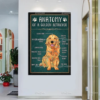 Анатомия на златист Ретривър, плакат за любителите на кучета, монтиран на стената арт принт, начало декор, платно, плакат, уникален подарък